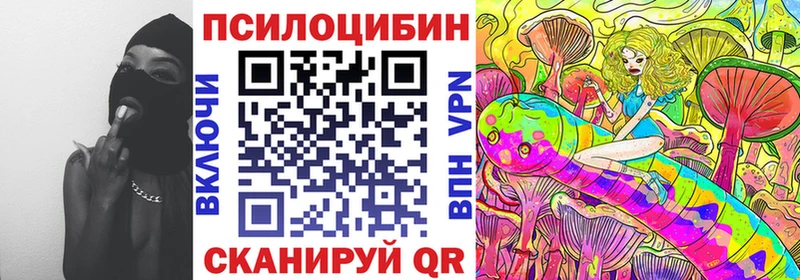 Псилоцибиновые грибы Cubensis  Кологрив 